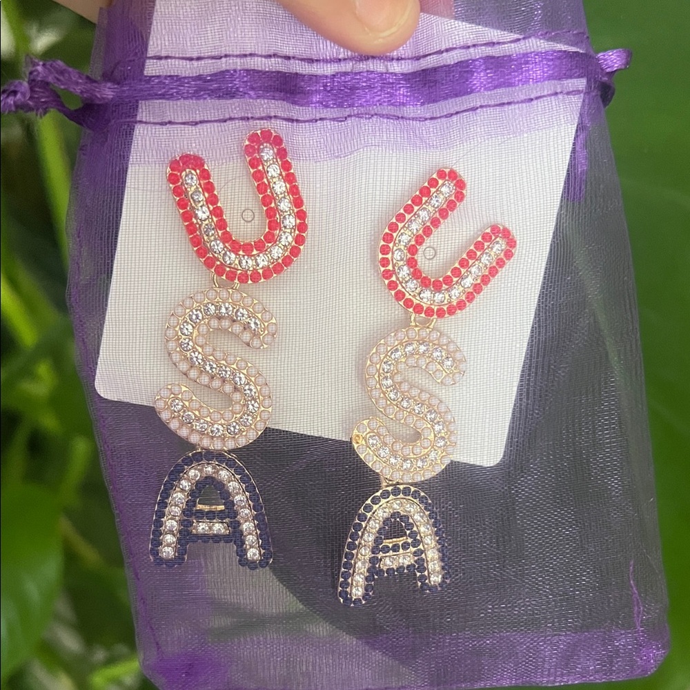 USA Earrings patriotic